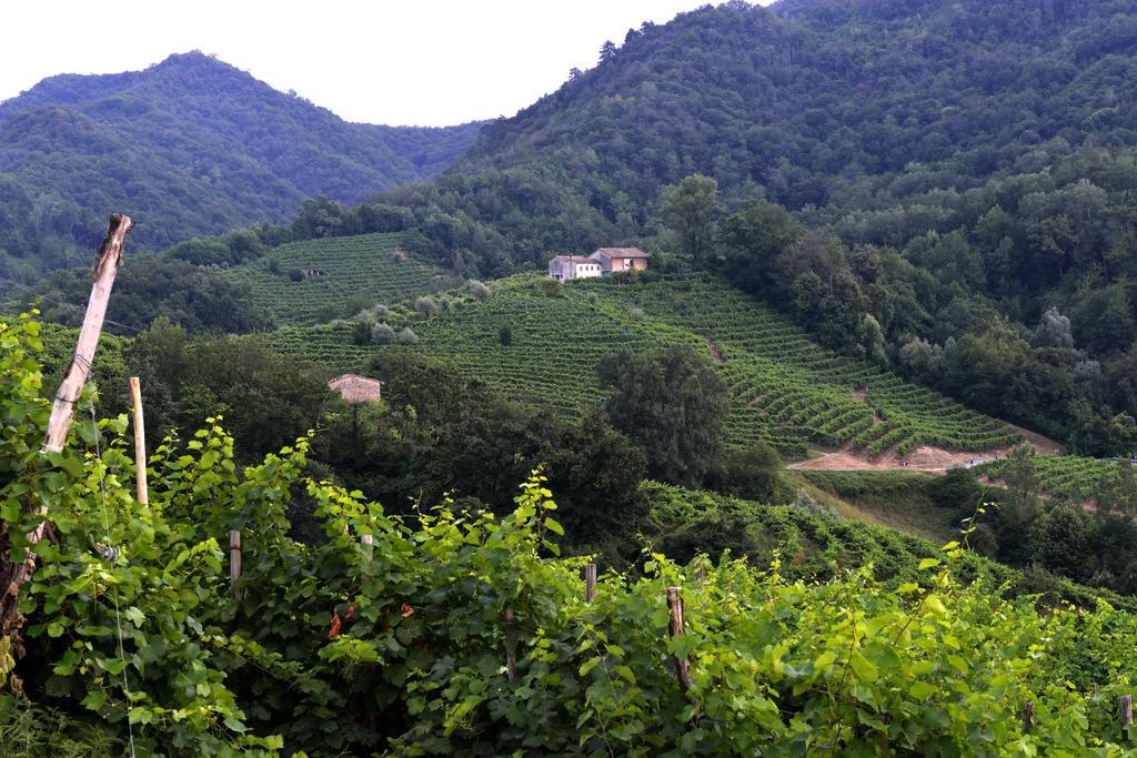 B&B Casa Di Campagna Miane Zewnętrze zdjęcie